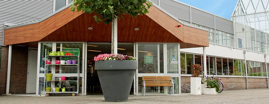 Welkoop Aalsmeer