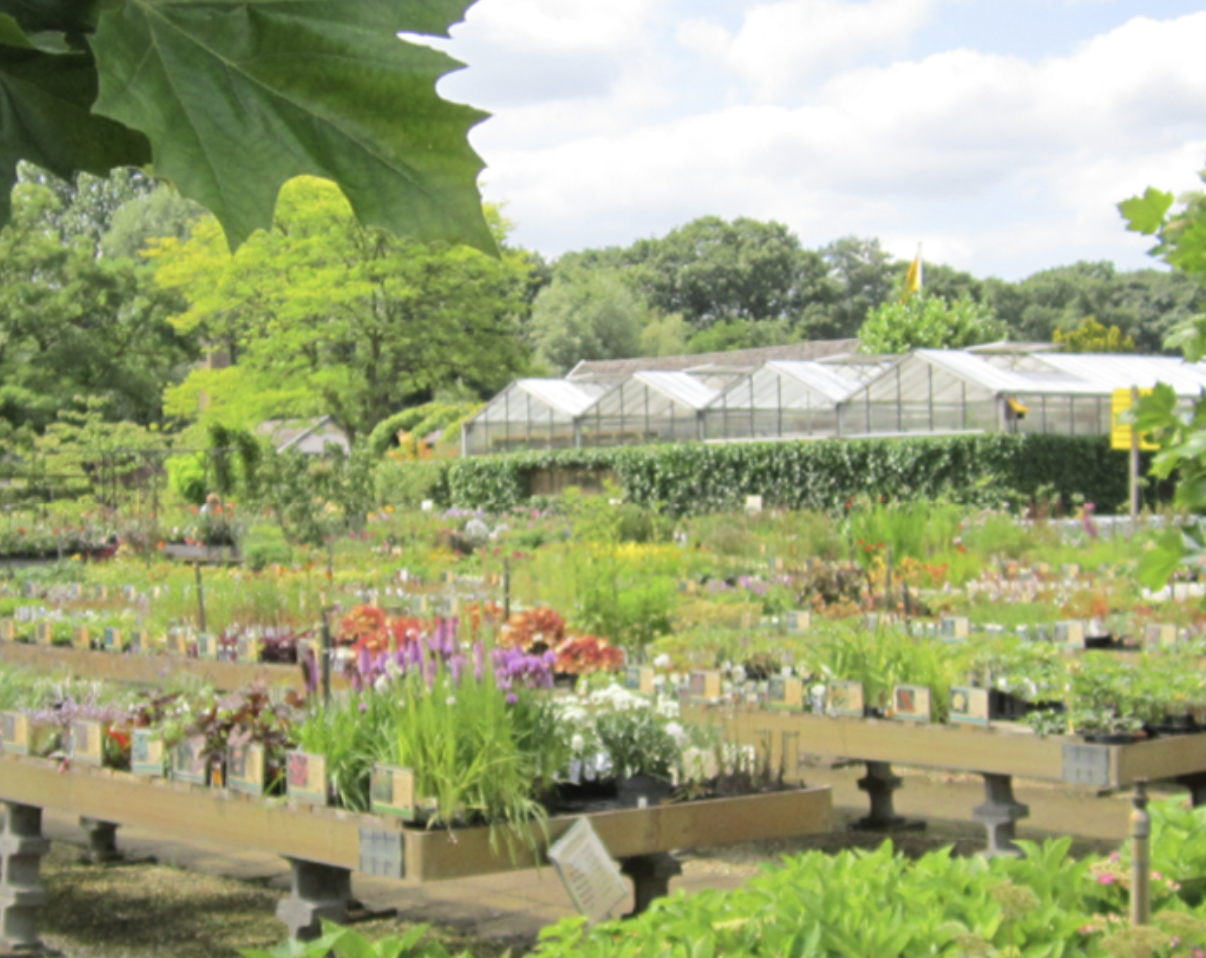 Abbing Tuincentrum