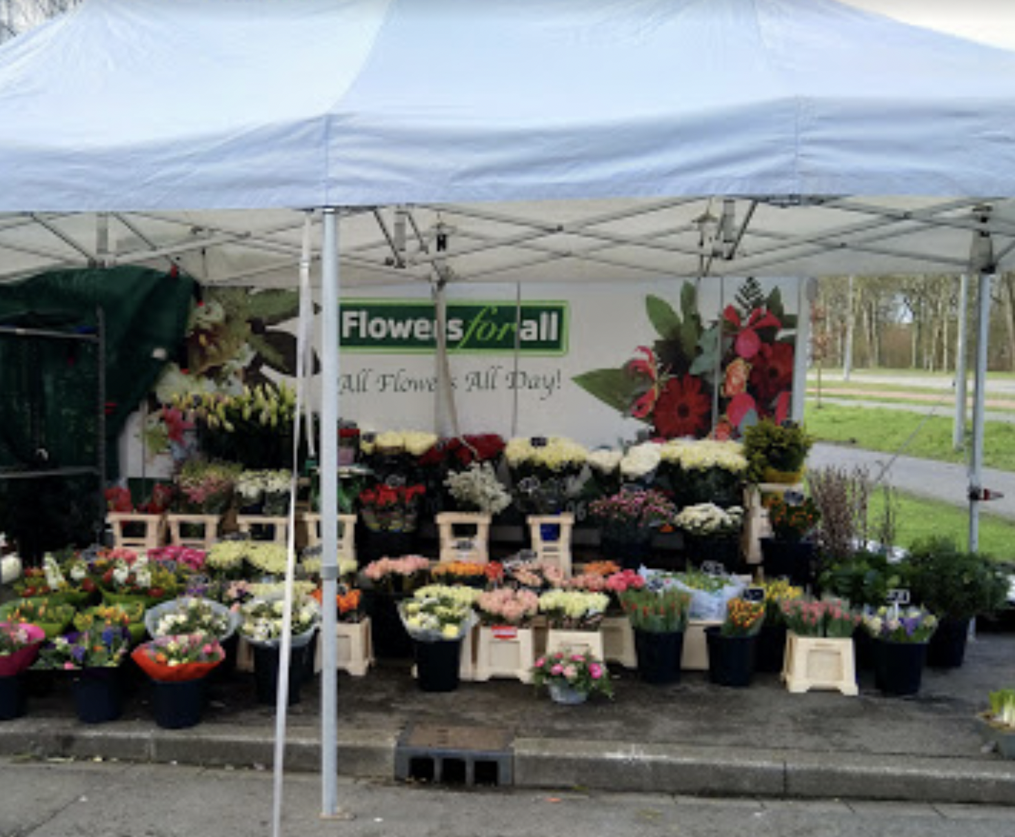 Albert's bloemen atelier
