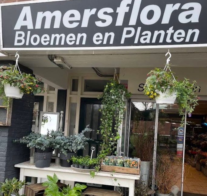 Amersflora