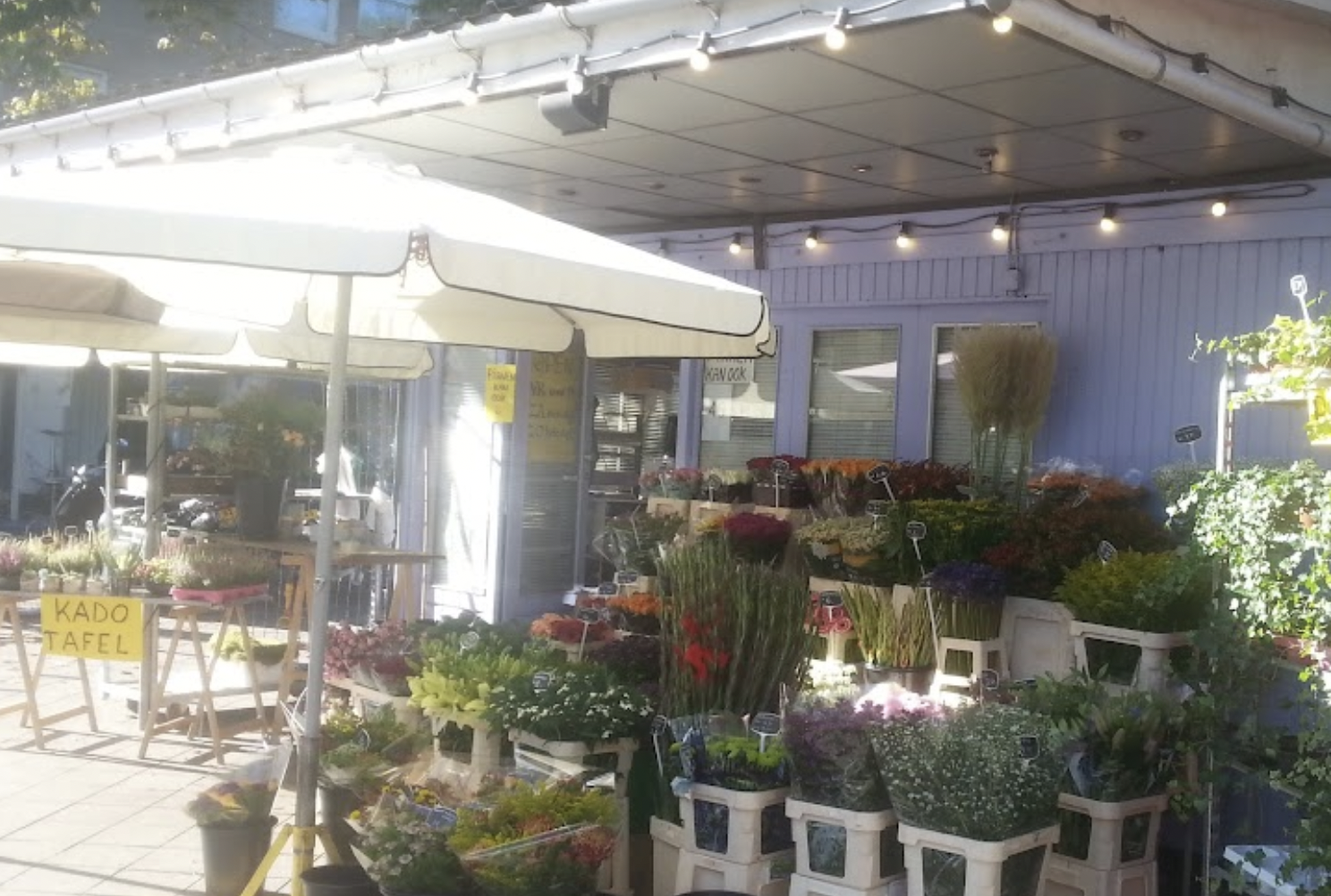 Amsterdams Bloemenspoor