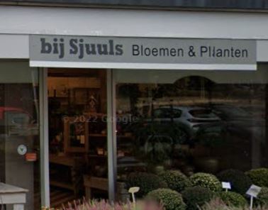 Bij Sjuuls Bloemen en Planten