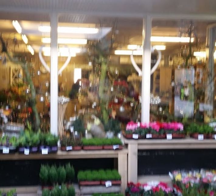 Bloem en Plant Nijmegen B.V.