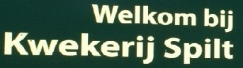 Kwekerij Spilt