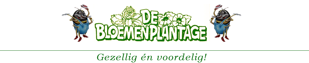 de Bloemenplantage B.V.