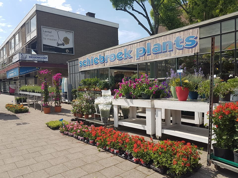 Tuincentrum Schiebroek