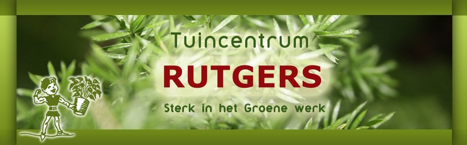 Tuincentrum Rutgers Paterswolde