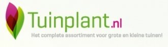 De Molenkamp