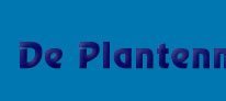 De Plantenmarkt