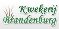 Kwekerij Brandenburg
