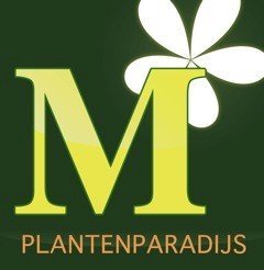 Moerkerks Plantenparadijs