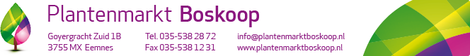Plantenmarkt Boskoop