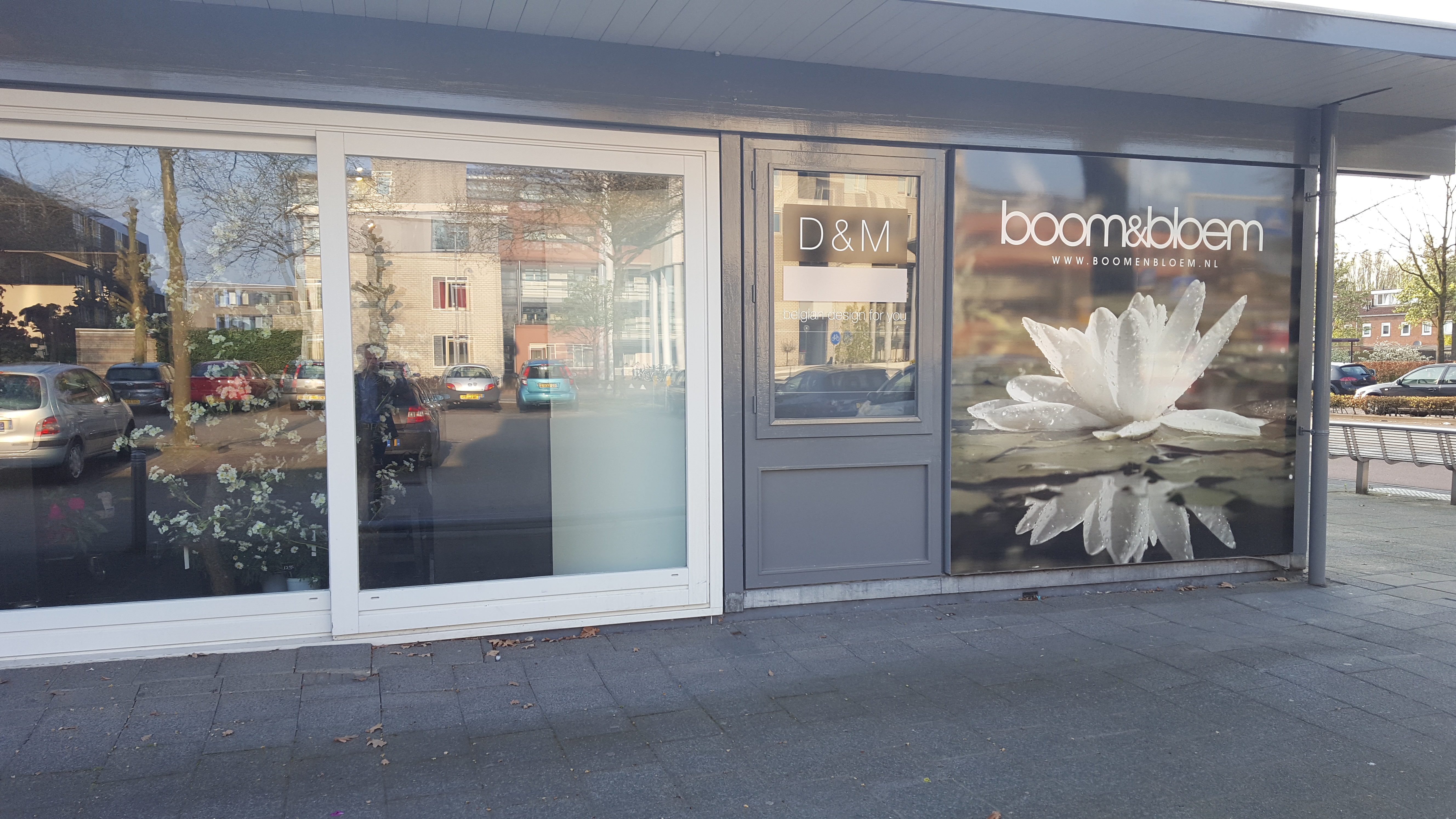 Boom en bloem