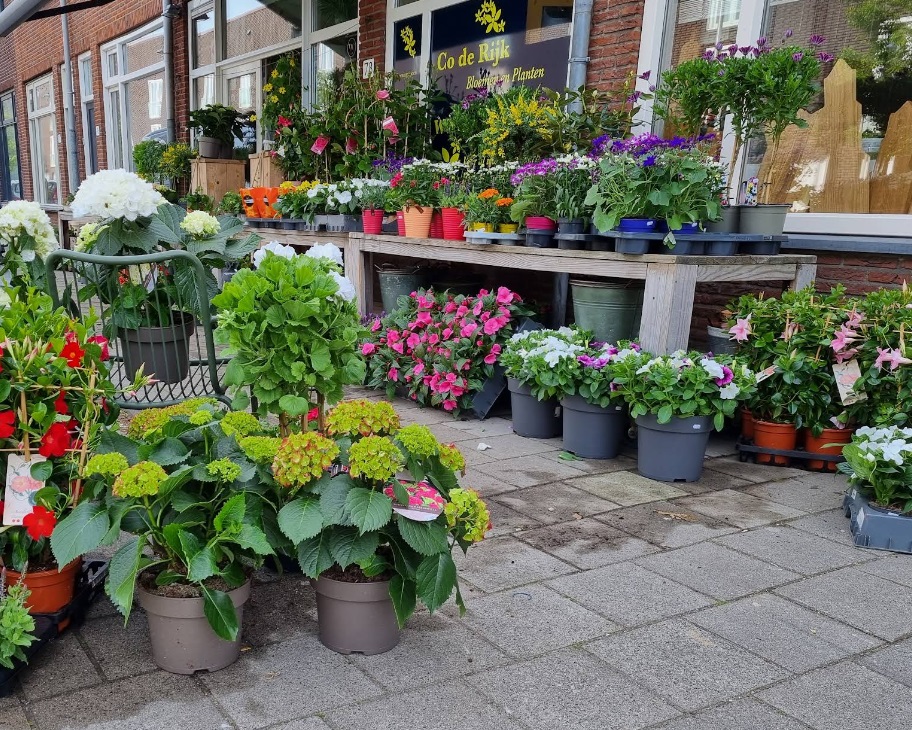 Co de Rijk Bloemen en Planten