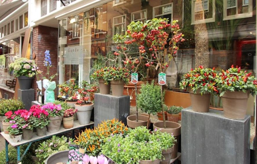 Gerda's Bloemen en Planten