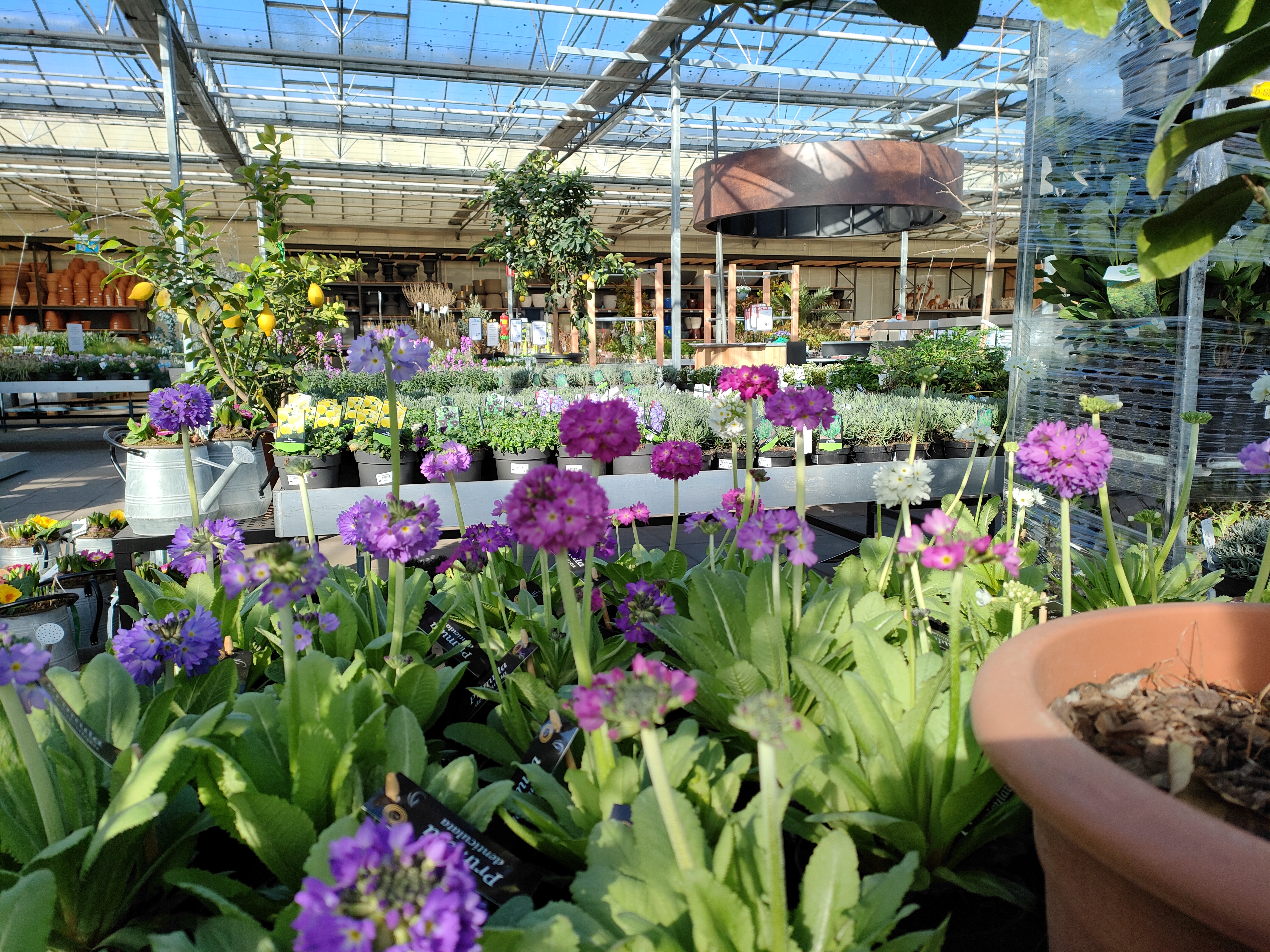 Intratuin Boxtel