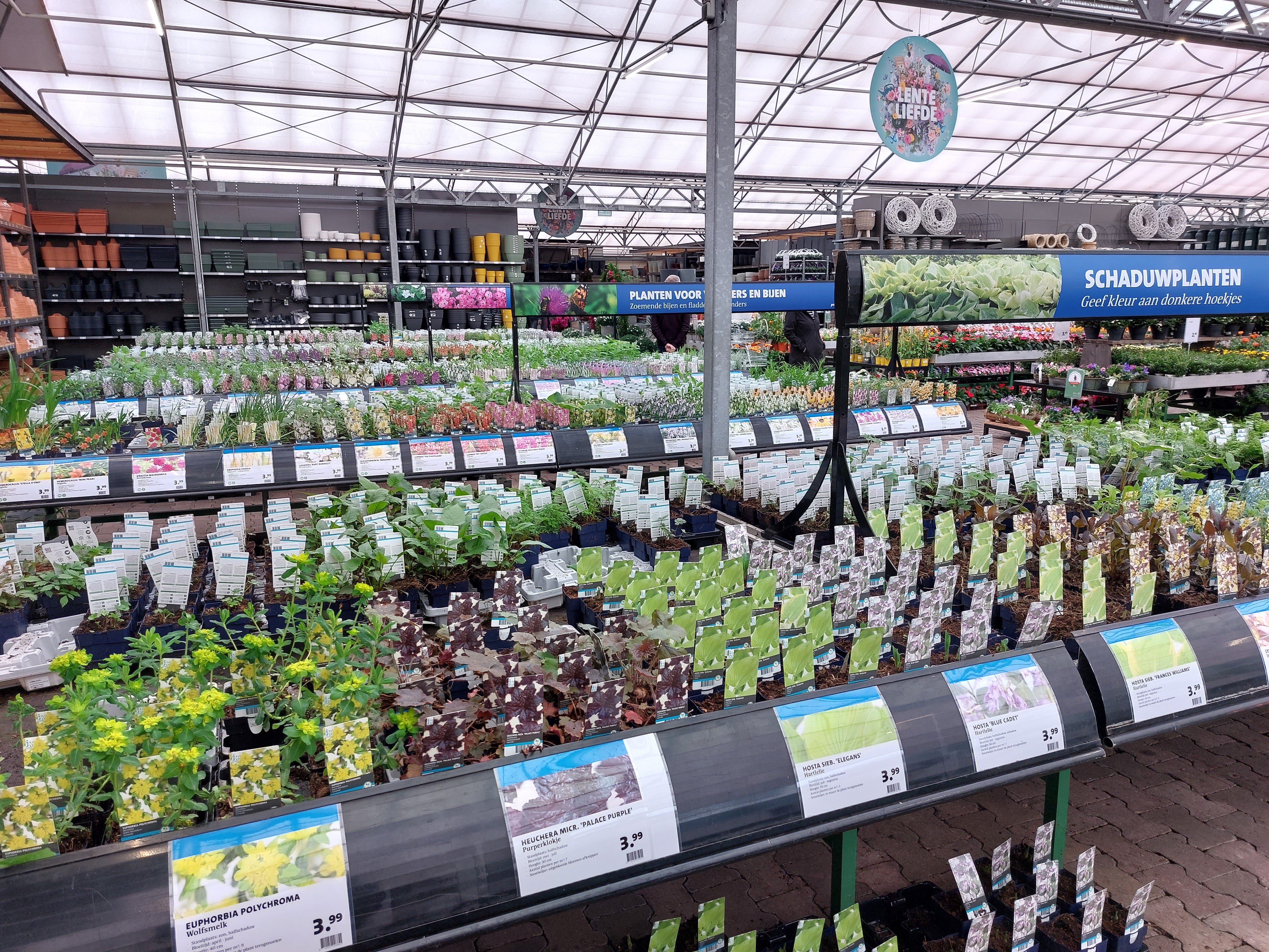 Intratuin Winschoten