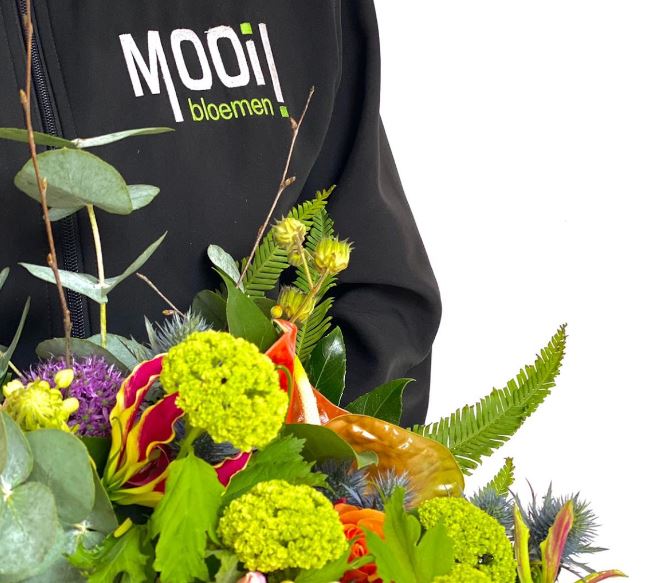 H.A. de Mooij & Zoon