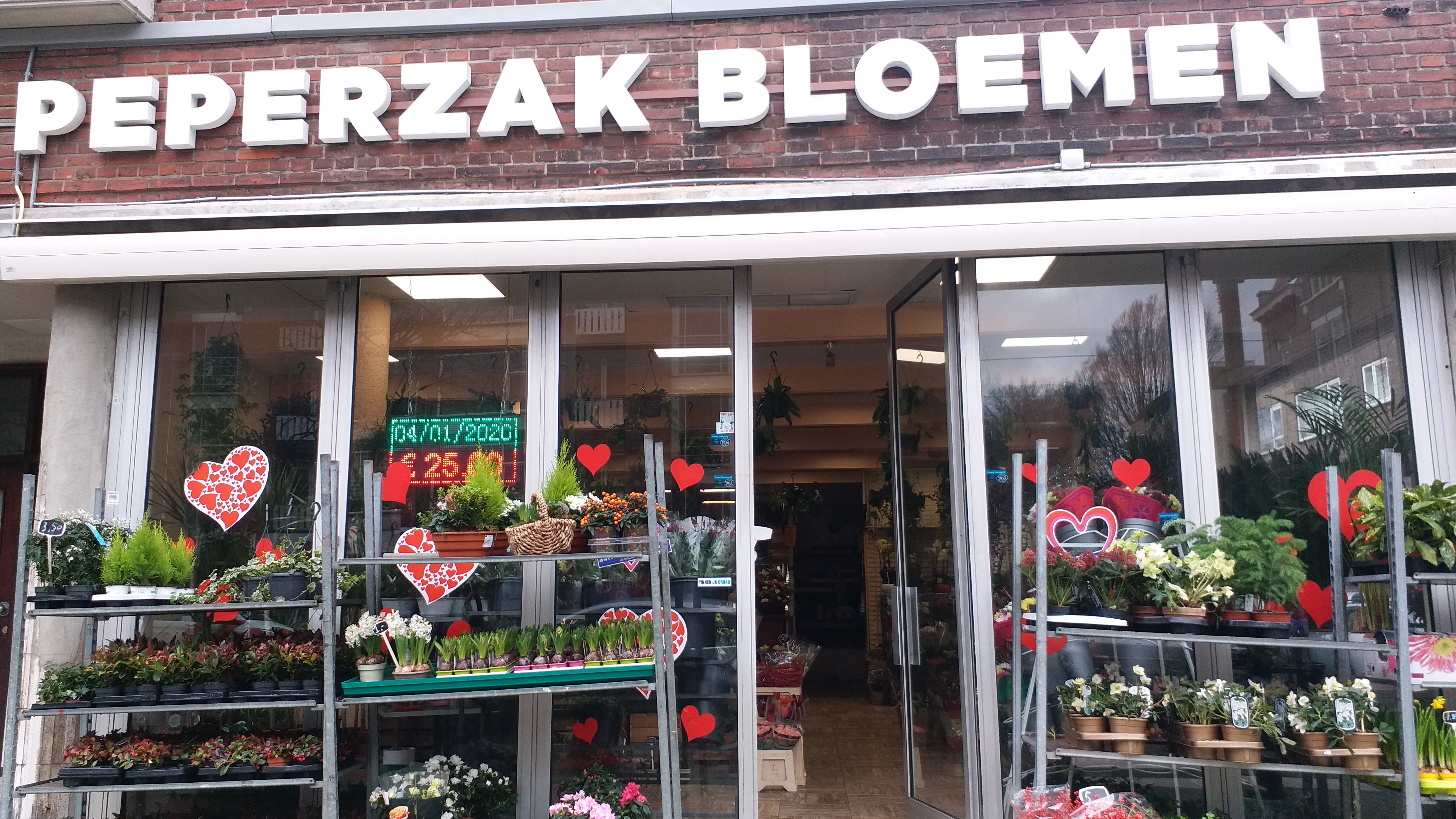 Bloemist Peperzak