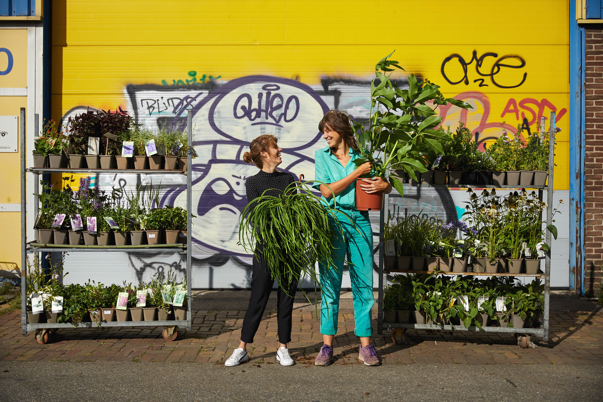Sprinklr Planten