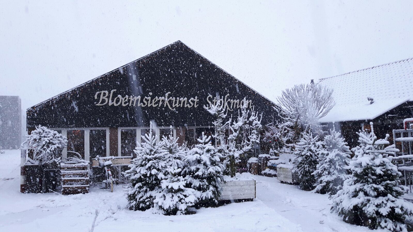 Bloemsierkunst P en M Stokman V.O.F.