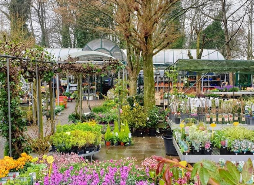 Tuincentrum Hofwijck
