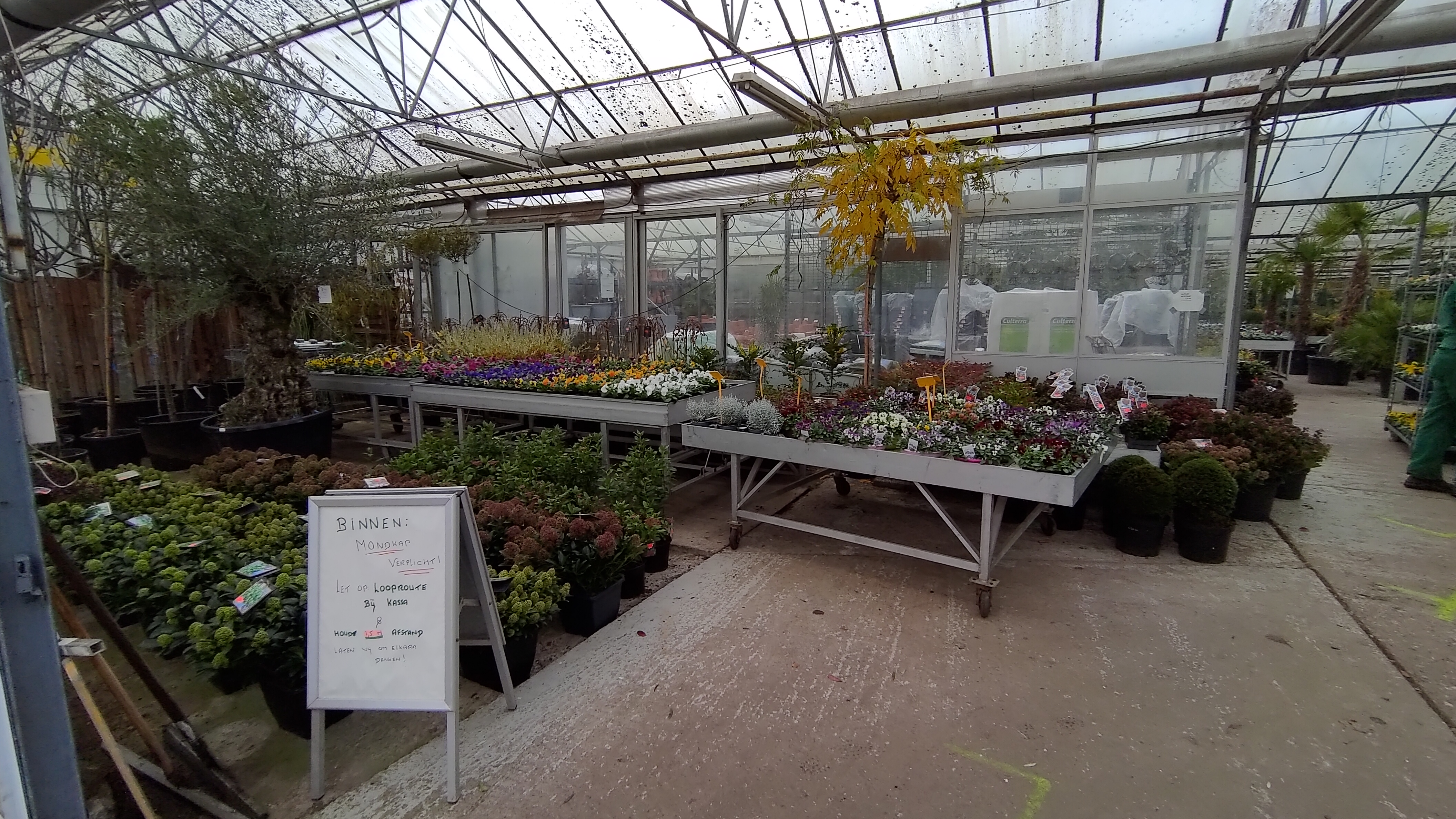Tuincentrum Koen