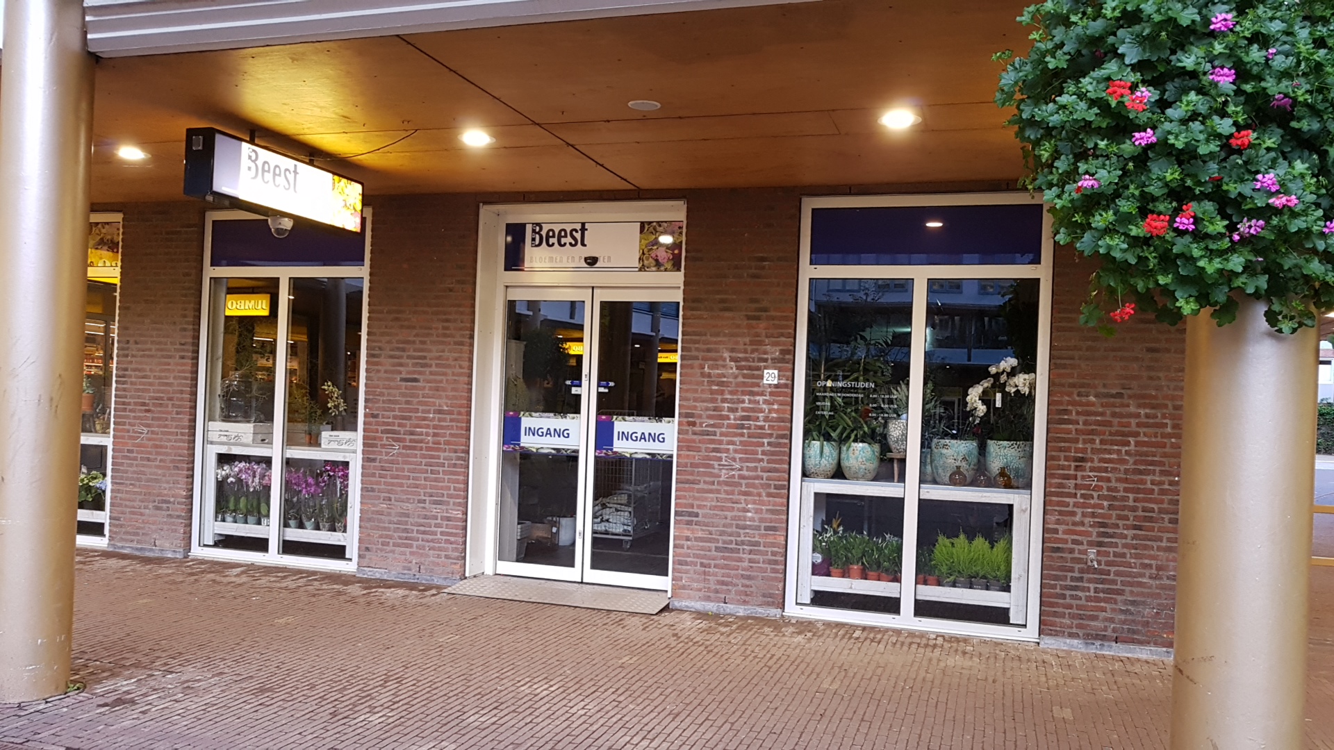 Bloemen & Planten Van Beest Nieuwland