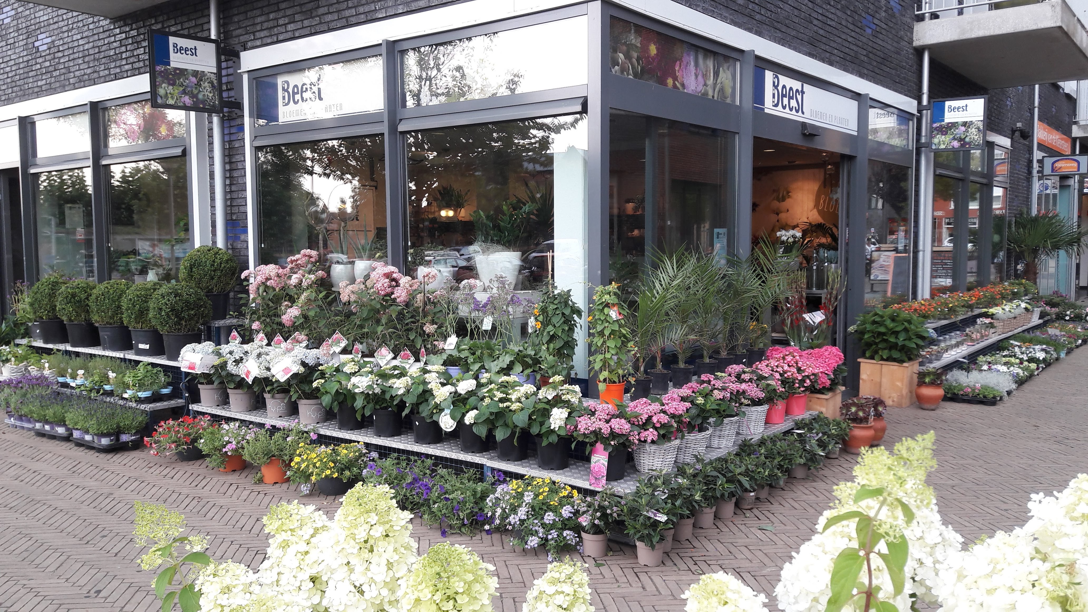 Van Beest Bloemen en Planten Vathorst