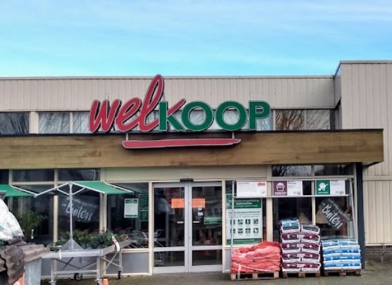 Welkoop Grave