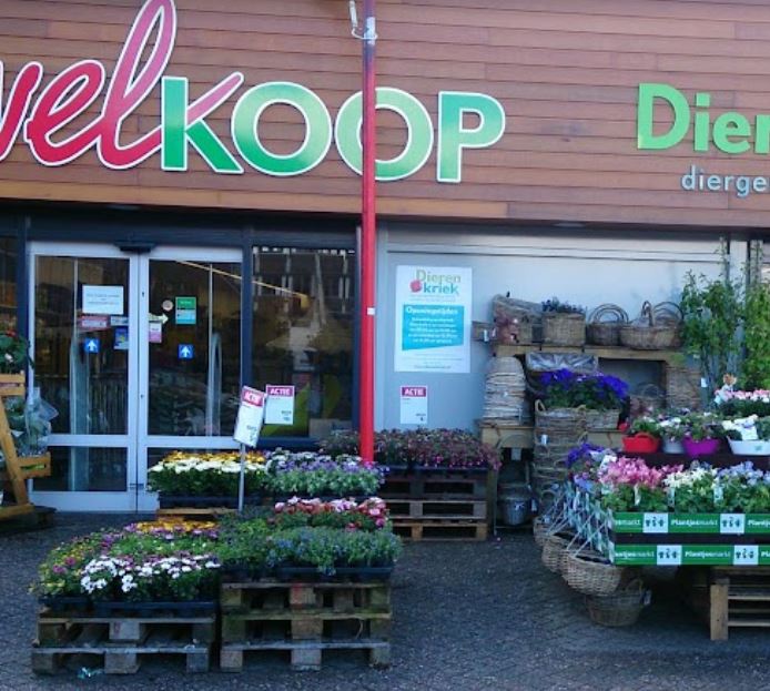 Welkoop Vlagtwedde