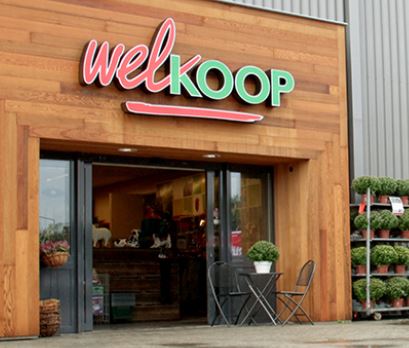 Welkoop Wolvega