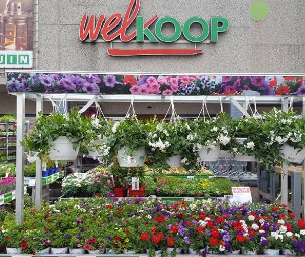 Welkoop Zutphen