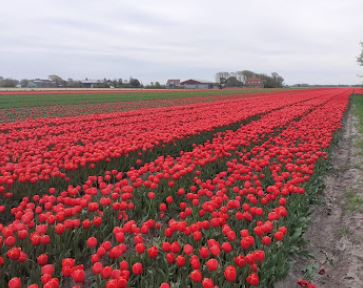 Bloem & Kreatie Workshopcentrum