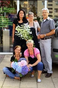 Zinnia Bloemen & Interieurbeplanting