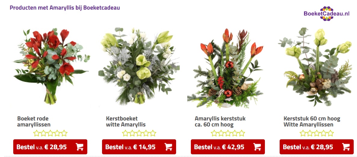 boeketcadeau amaryllis