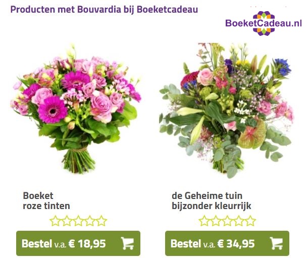boeketcadeau bouvardia