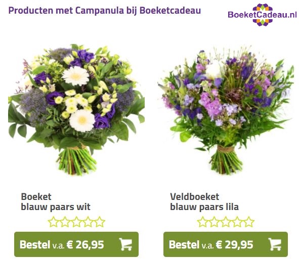 boeketcadeau campanula