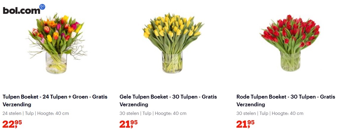 tulpen op bol.com