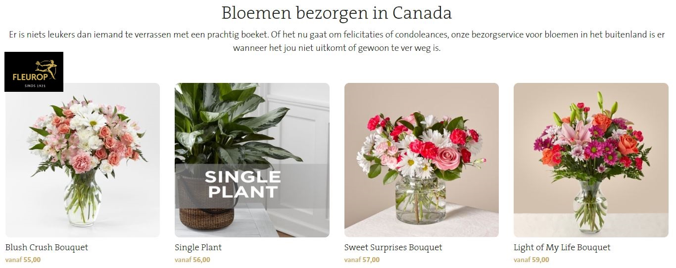 bloemen versturen naar Canada via fleurop