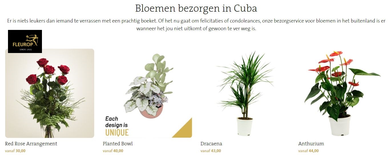 bloemen verzenden naar Cuba