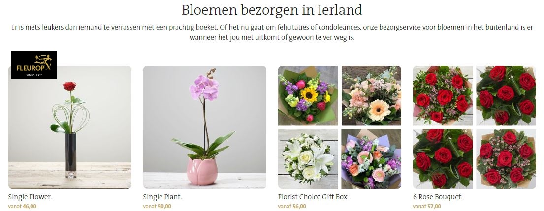 bloemen verzenden naar Ierland
