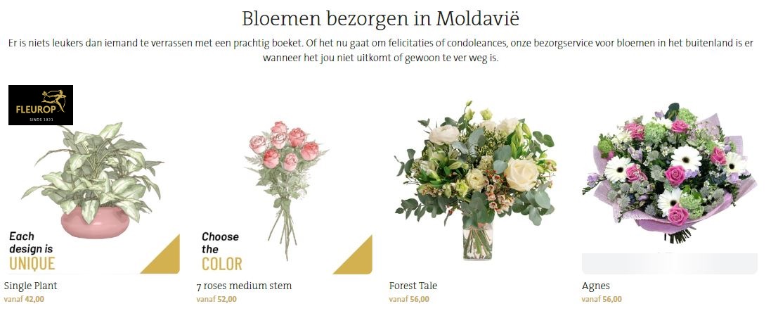 bloemen bezorgen in Moldavi via Fleurop
