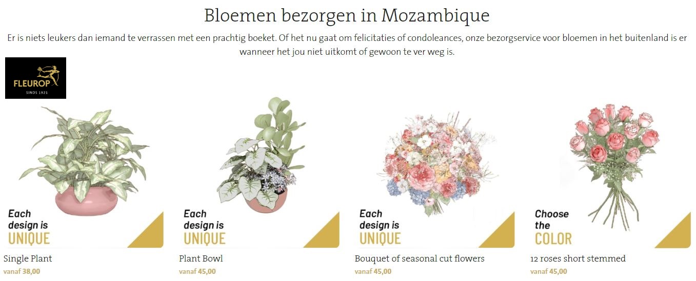 bloemen versturen naar Mozambique via Fleurop