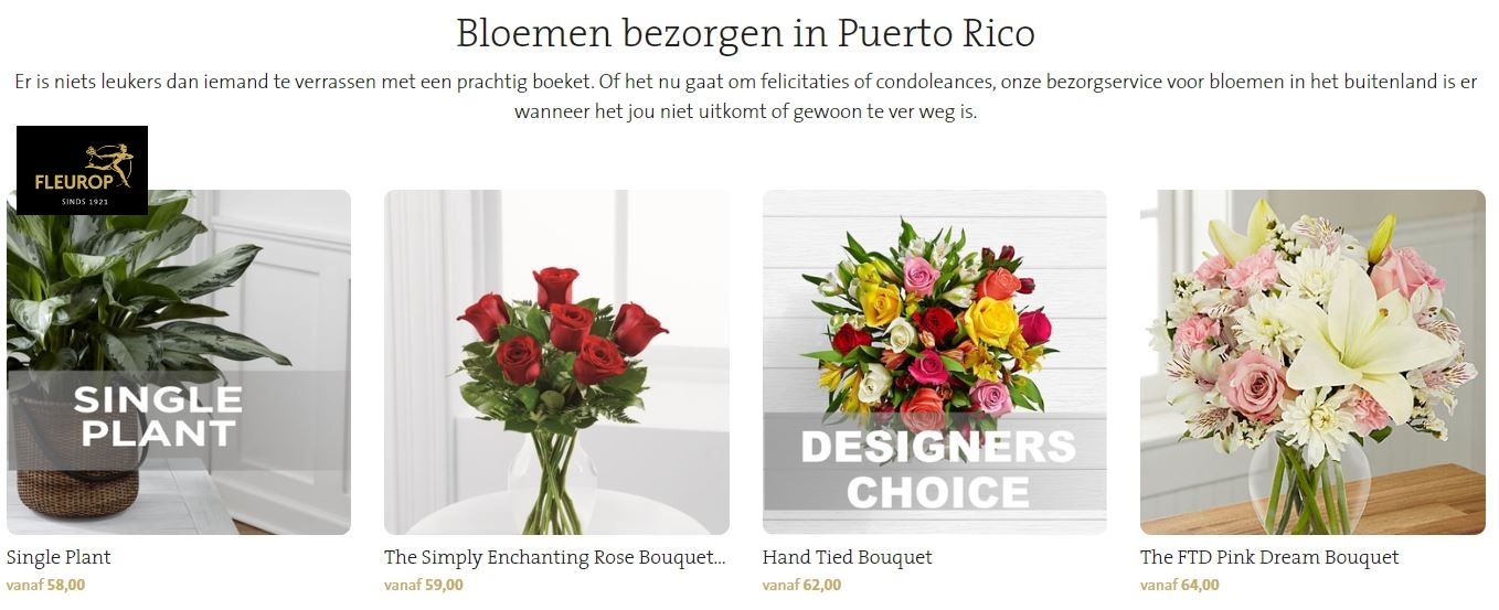 bloemen bezorgen in Puerto Rico via Fleurop