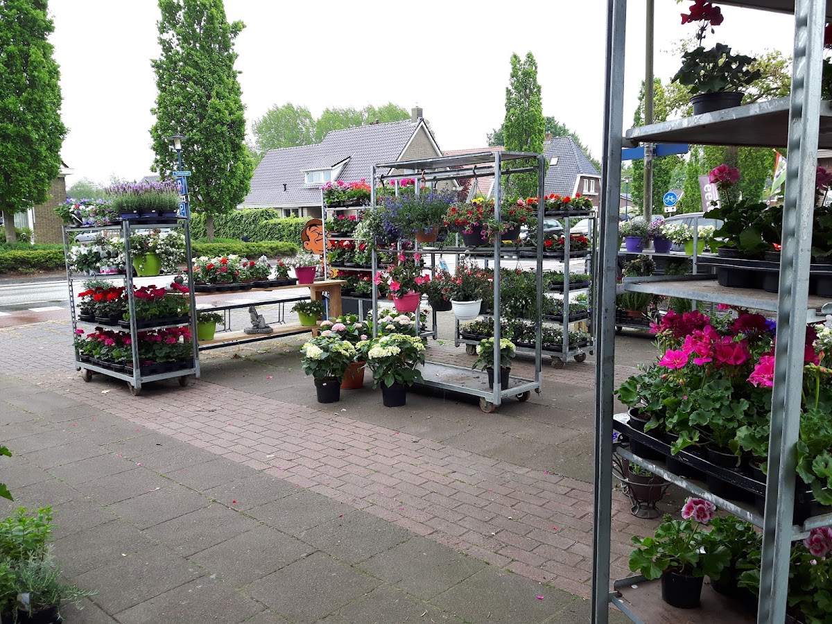 Foto van Creannetta bloemsierkunst Schoonoord in Schoonoord