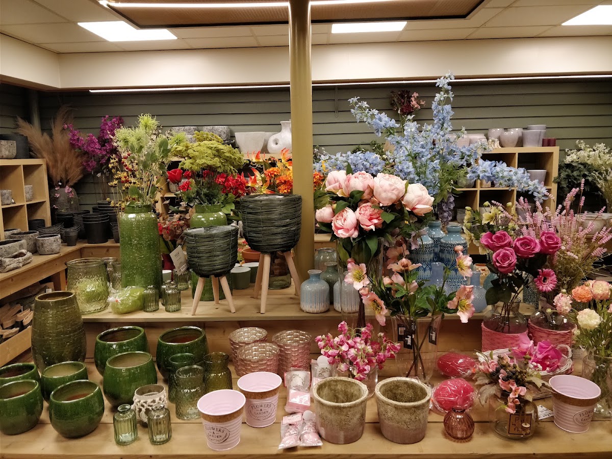 Foto van Reinders Bloemen en Planten in Sleen