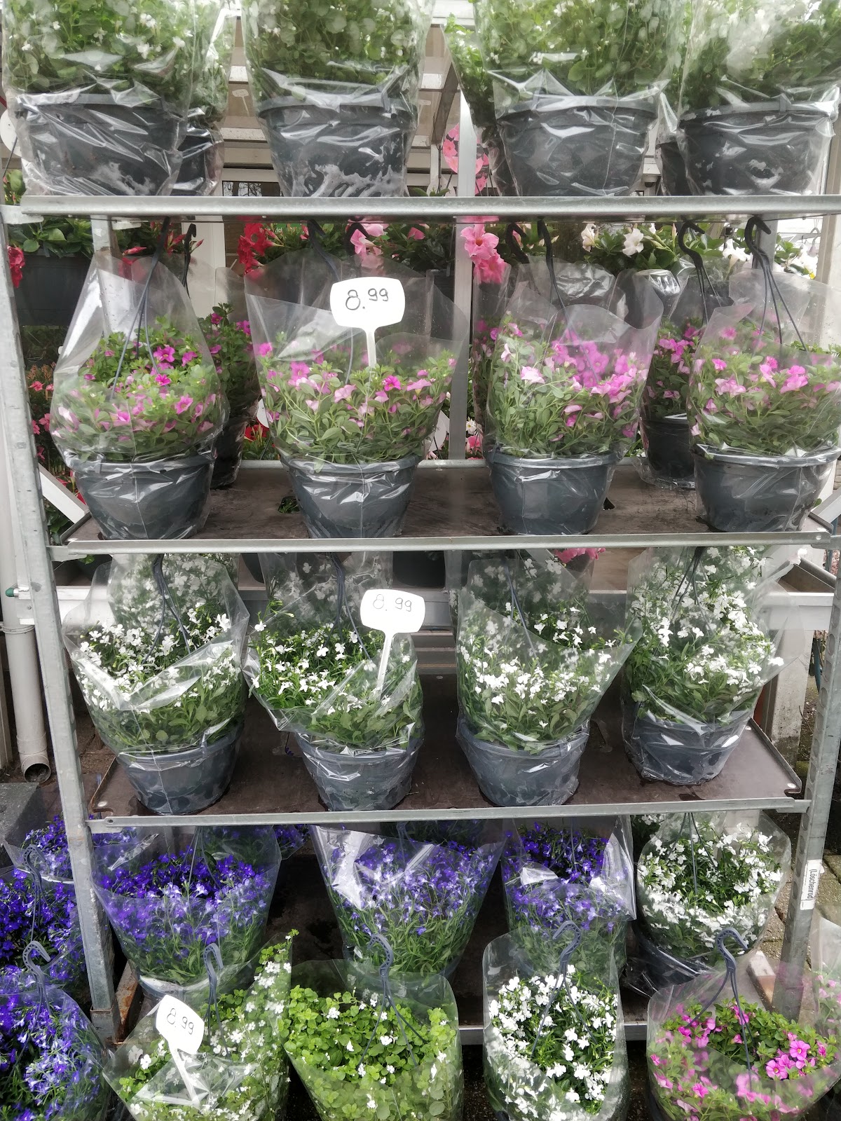 Foto van Reinders Bloemen en Planten in Sleen