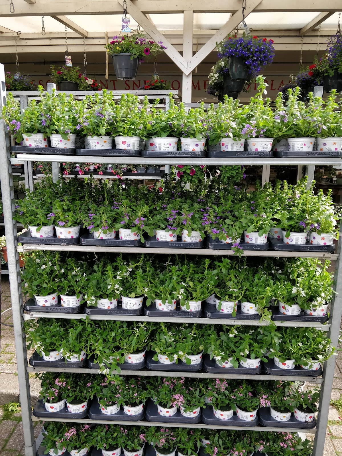 Foto van Reinders Bloemen en Planten in Sleen