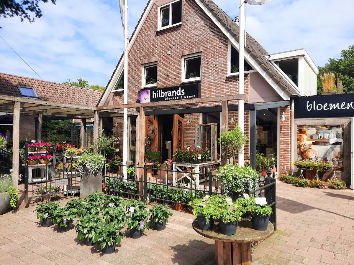 Hilbrands Bloemen & Wonen